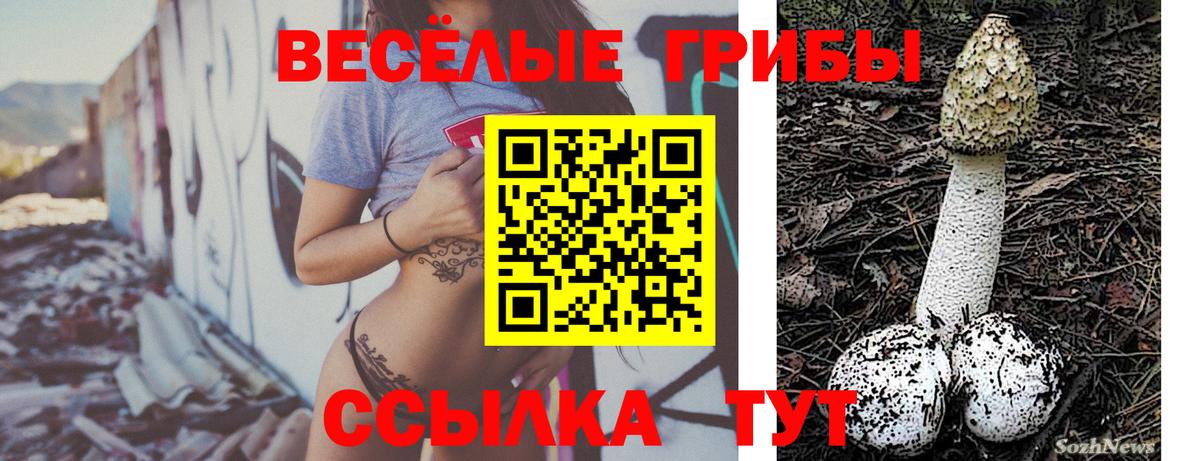 Дубна  Галлюциногенные грибы MAGIC MUSHROOMS  Вход с VPN 